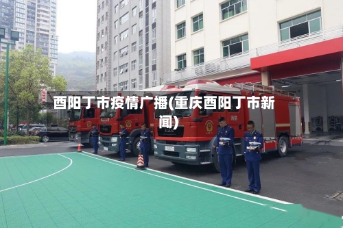 酉阳丁市疫情广播(重庆酉阳丁市新闻)