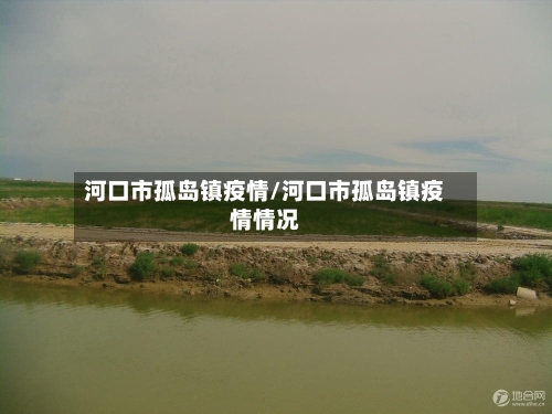 河口市孤岛镇疫情/河口市孤岛镇疫情情况-第2张图片