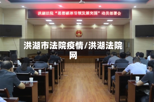 洪湖市法院疫情/洪湖法院网-第3张图片