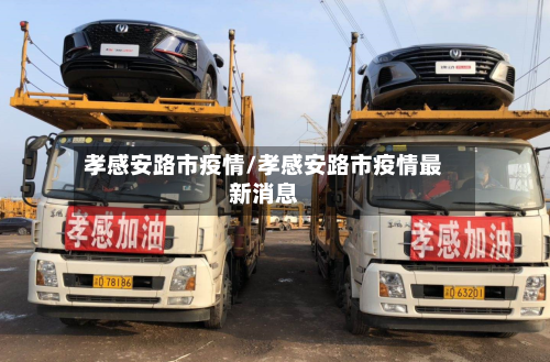 孝感安路市疫情/孝感安路市疫情最新消息-第2张图片
