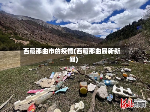 西藏那曲市的疫情(西藏那曲最新新闻)