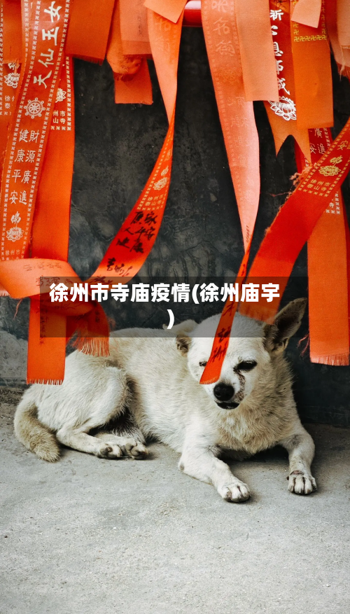 徐州市寺庙疫情(徐州庙宇)