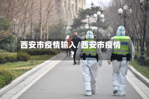西安市疫情输入/西安市疫情?