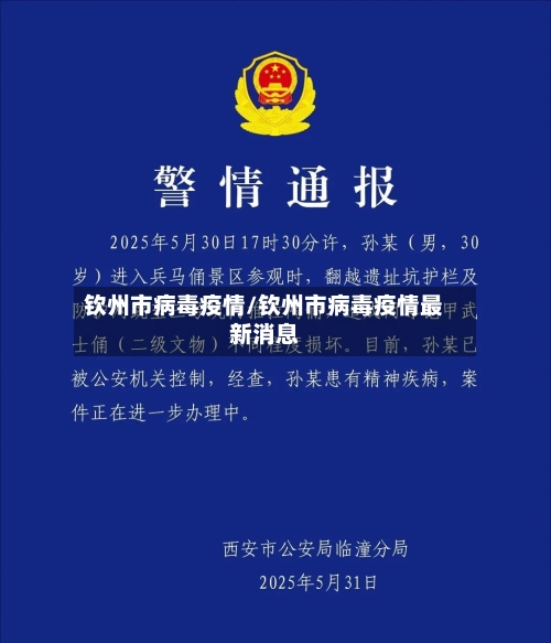 钦州市病毒疫情/钦州市病毒疫情最新消息-第3张图片