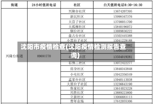 沈阳市疫情检查(沈阳疫情检测报告查询)