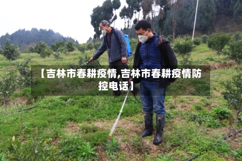 【吉林市春耕疫情,吉林市春耕疫情防控电话】