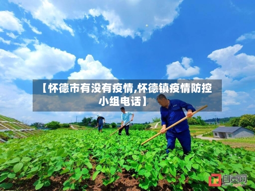 【怀德市有没有疫情,怀德镇疫情防控小组电话】