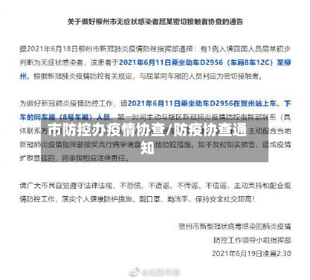 市防控办疫情协查/防疫协查通知
