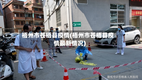 梧州市苍梧县疫情(梧州市苍梧县疫情最新情况)-第2张图片