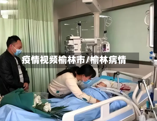 疫情视频榆林市/榆林病情