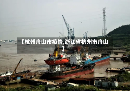 【杭州舟山市疫情,浙江省杭州市舟山】-第3张图片