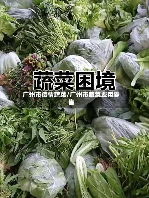 广州市疫情蔬菜/广州市蔬菜费用零售-第2张图片
