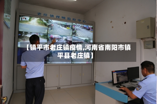 【镇平市老庄镇疫情,河南省南阳市镇平县老庄镇】-第3张图片