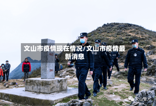 文山市疫情现在情况/文山市疫情最新消息-第3张图片