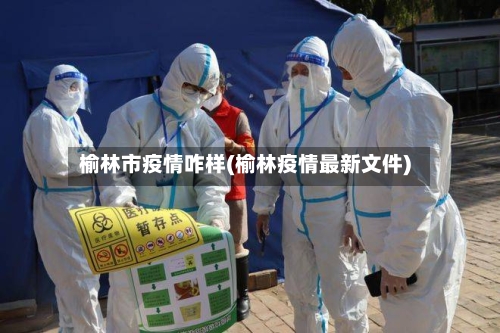 榆林市疫情咋样(榆林疫情最新文件)