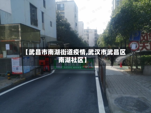 【武昌市南湖街道疫情,武汉市武昌区南湖社区】