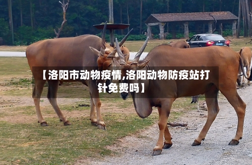 【洛阳市动物疫情,洛阳动物防疫站打针免费吗】-第3张图片