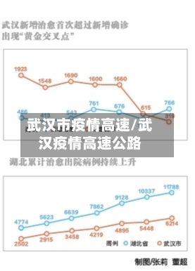 武汉市疫情高速/武汉疫情高速公路
