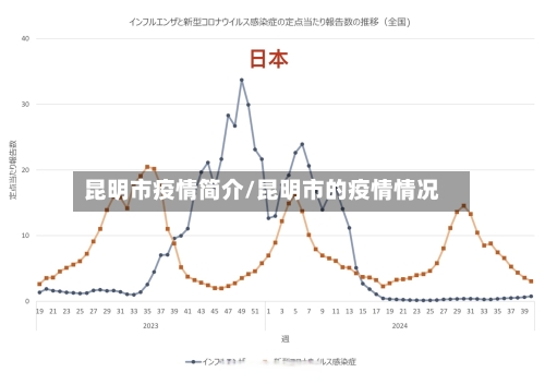 昆明市疫情简介/昆明市的疫情情况-第3张图片