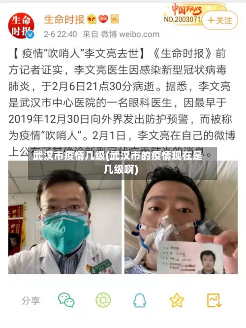 武汉市疫情几级(武汉市的疫情现在是几级啊)-第2张图片