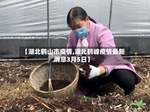 【湖北鹤山市疫情,湖北鹤峰疫情最新消息3月5日】