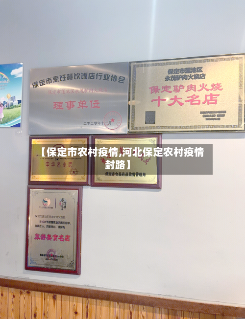 【保定市农村疫情,河北保定农村疫情封路】-第2张图片