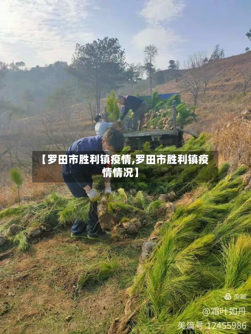 【罗田市胜利镇疫情,罗田市胜利镇疫情情况】