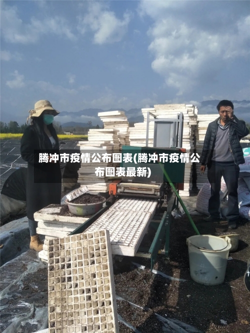 腾冲市疫情公布图表(腾冲市疫情公布图表最新)-第2张图片