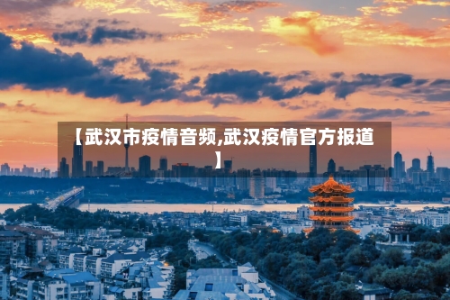 【武汉市疫情音频,武汉疫情官方报道】