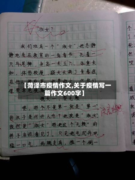 【菏泽市疫情作文,关于疫情写一篇作文600字】-第2张图片