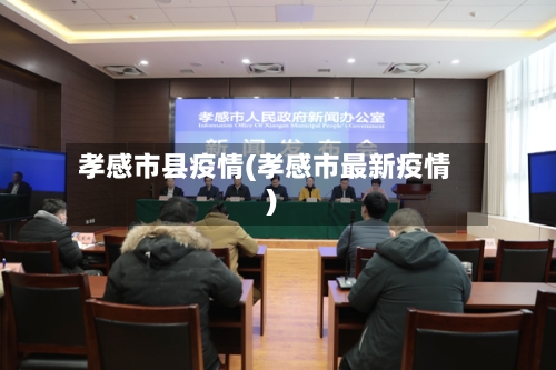 孝感市县疫情(孝感市最新疫情)