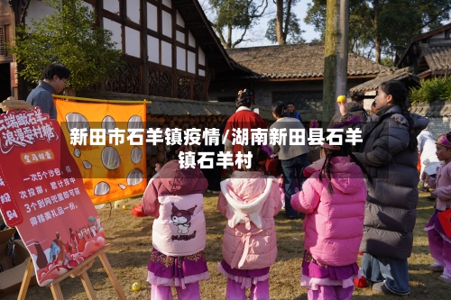 新田市石羊镇疫情/湖南新田县石羊镇石羊村