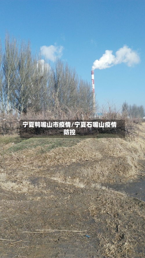 宁夏鸭嘴山市疫情/宁夏石嘴山疫情防控-第2张图片