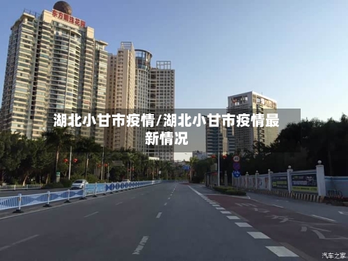 湖北小甘市疫情/湖北小甘市疫情最新情况