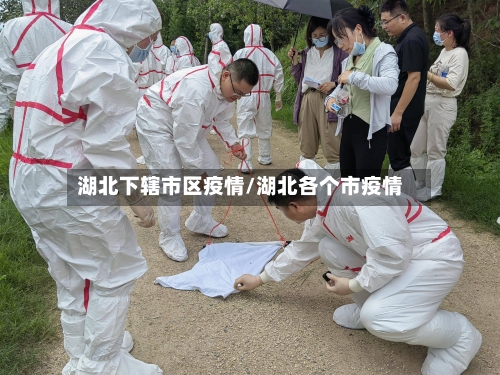 湖北下辖市区疫情/湖北各个市疫情
