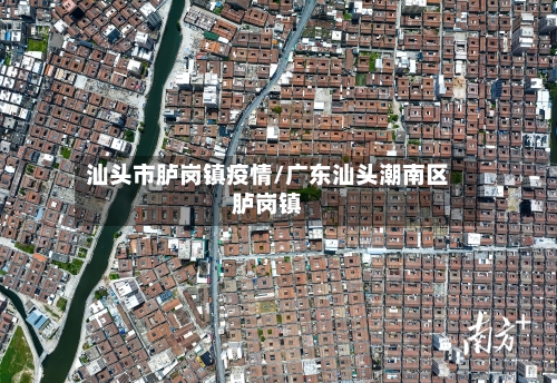 汕头市胪岗镇疫情/广东汕头潮南区胪岗镇