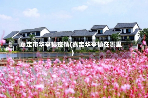 嘉定市华亭镇疫情(嘉定华亭镇在哪里)-第2张图片