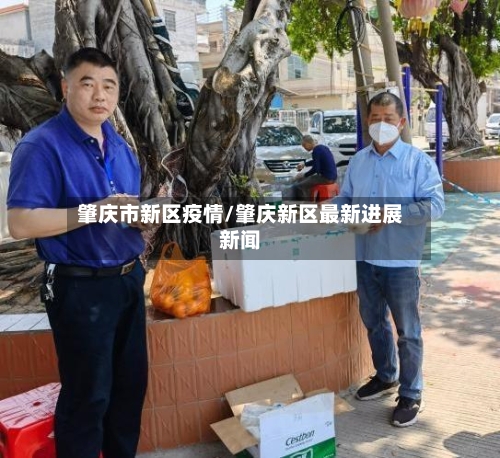 肇庆市新区疫情/肇庆新区最新进展新闻