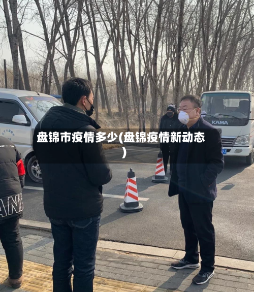 盘锦市疫情多少(盘锦疫情新动态)-第2张图片