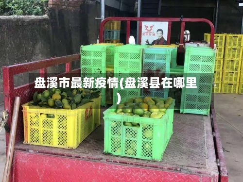 盘溪市最新疫情(盘溪县在哪里)