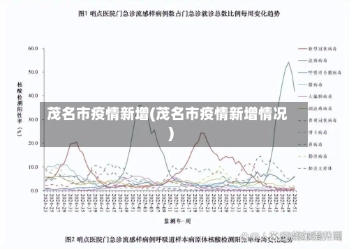 茂名市疫情新增(茂名市疫情新增情况)