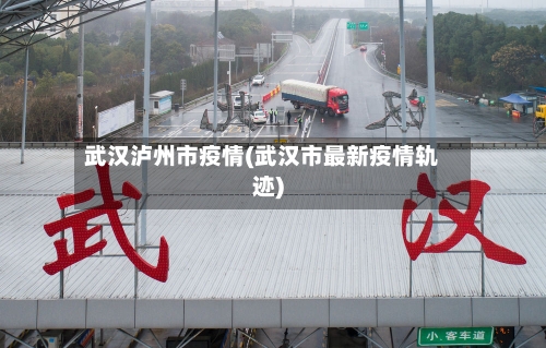 武汉泸州市疫情(武汉市最新疫情轨迹)-第2张图片