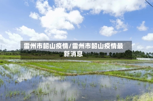 雷州市韶山疫情/雷州市韶山疫情最新消息