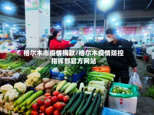 格尔木市疫情捐款/格尔木疫情防控指挥部官方网站-第2张图片