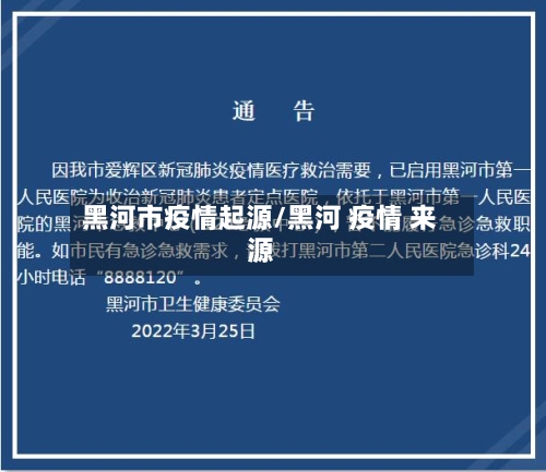 黑河市疫情起源/黑河 疫情 来源