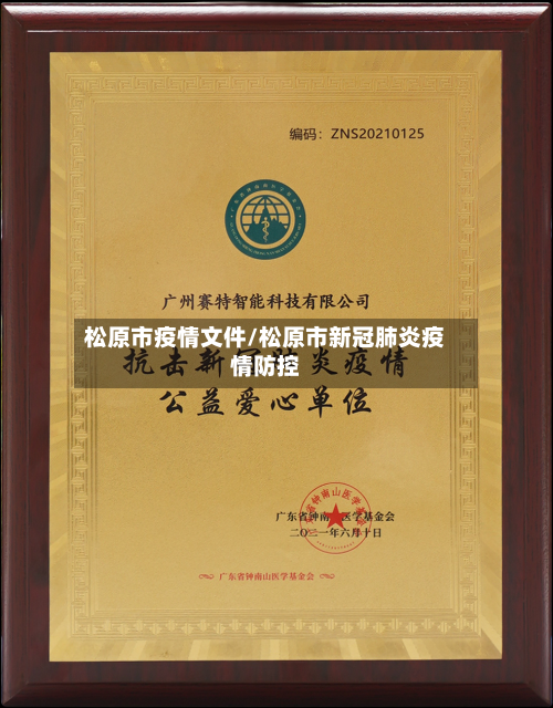 松原市疫情文件/松原市新冠肺炎疫情防控-第3张图片