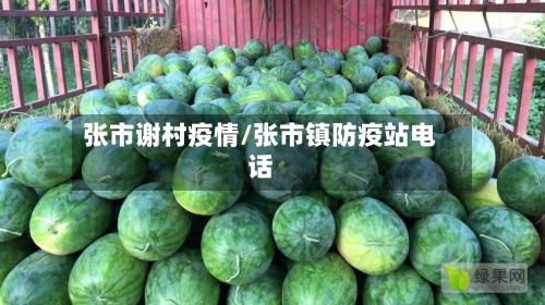 张市谢村疫情/张市镇防疫站电话