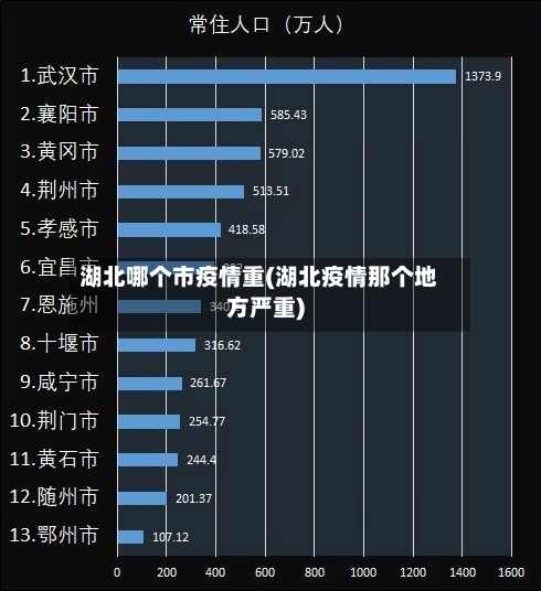 湖北哪个市疫情重(湖北疫情那个地方严重)