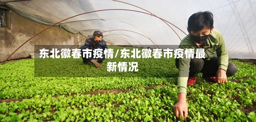 东北徽春市疫情/东北徽春市疫情最新情况