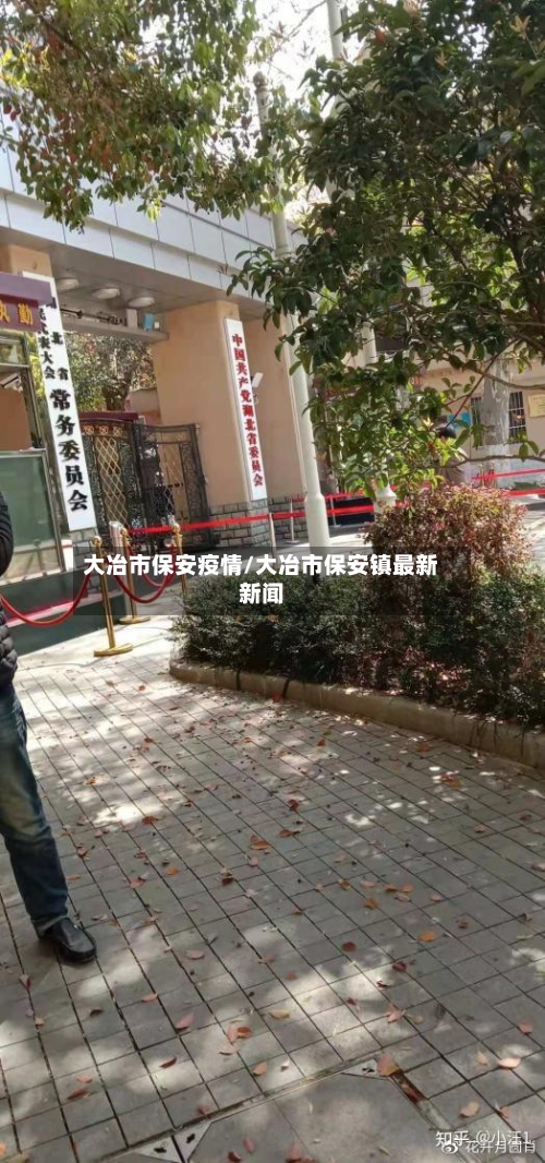 大冶市保安疫情/大冶市保安镇最新新闻